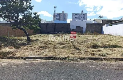 Terreno à venda, bosque dos buritis - uberlândia/mg - rotina imobiliária