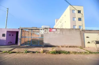 Terreno à venda, presidente roosevelt - uberlândia/mg - rotina imobiliária