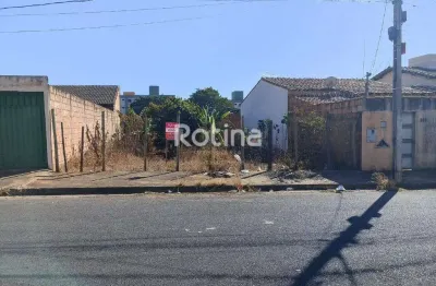 Terreno à venda, jardim europa - uberlândia/mg - rotina imobiliária