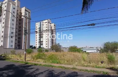 Área à venda, santa mônica - uberlândia/mg - rotina imobiliária