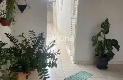 Casa à venda, 3 quartos, luizote de freitas - uberlândia/mg - rotina imobiliária