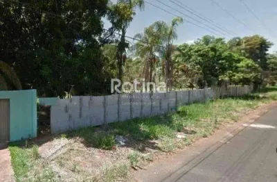 Chacara à venda, mansões aeroporto - uberlândia/mg - rotina imobiliária