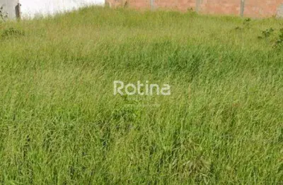 Terreno à venda, jardim sul - uberlândia/mg - rotina imobiliária