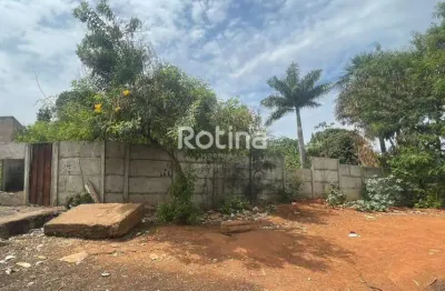 Terreno à venda, carajás - uberlândia/mg - rotina imobiliária