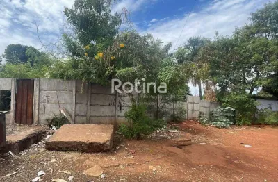 Terreno à venda, carajás - uberlândia/mg - rotina imobiliária