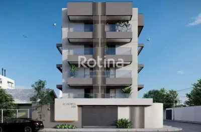 Apartamento à venda, 2 quartos, santa mônica - uberlândia/mg - rotina imobiliária