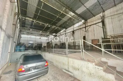 Galpão à venda, tibery - uberlândia/mg - rotina imobiliária