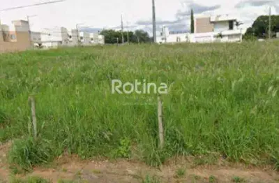 Terreno à venda, vigilato pereira - uberlândia/mg - rotina imobiliária