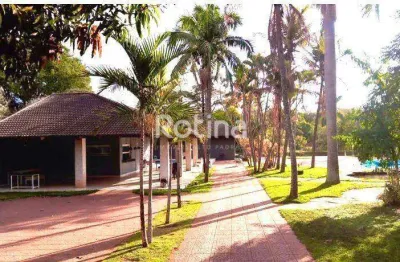 Chacara à venda, 2 quartos, patrimônio - uberlândia/mg - rotina imobiliária