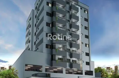Apartamento à venda, 2 quartos, santa mônica - uberlândia/mg - rotina imobiliária