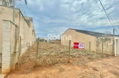 Terreno à venda, jardim brasília - uberlândia/mg - rotina imobiliária