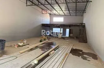 Galpão à venda, jardim holanda - uberlândia/mg - rotina imobiliária