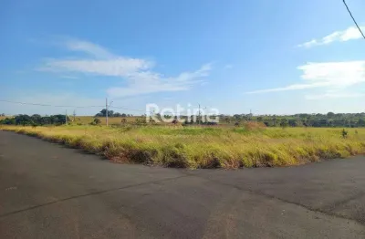 Área à venda, residencial fruta do conde - uberlândia/mg - rotina imobiliária