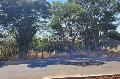 Área à venda, chacaras tubalina e quartel - uberlândia/mg - rotina imobiliária