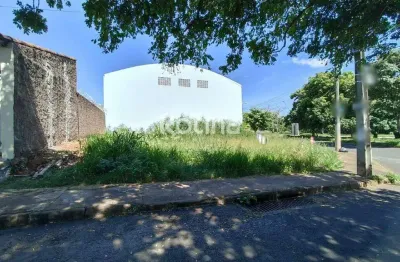 Terreno à venda, mansour - uberlândia/mg - rotina imobiliária