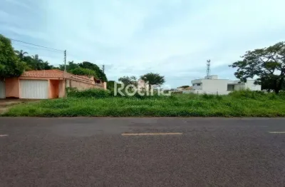 Área à venda, chacaras tubalina e quartel - uberlândia/mg - rotina imobiliária
