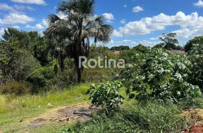 Terreno à venda, nossa senhora das graças - uberlândia/mg - rotina imobiliária