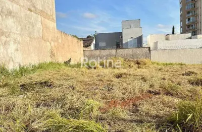 Terreno à venda, bosque dos buritis - uberlândia/mg - rotina imobiliária