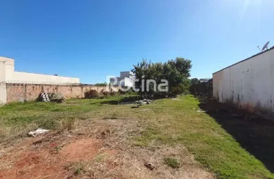 Terreno à venda, presidente roosevelt - uberlândia/mg - rotina imobiliária