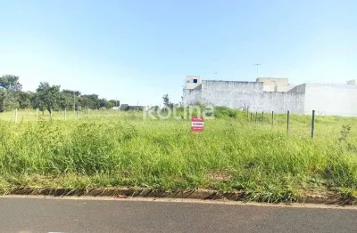 Terreno à venda, shopping park - uberlândia/mg - rotina imobiliária