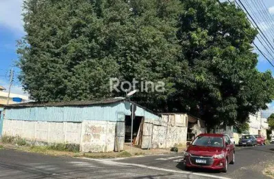 Terreno à venda, martins - uberlândia/mg - rotina imobiliária