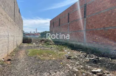 Terreno à venda, osvaldo rezende - uberlândia/mg - rotina imobiliária