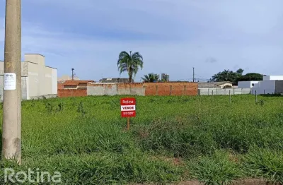Terreno à venda, shopping park - uberlândia/mg - rotina imobiliária