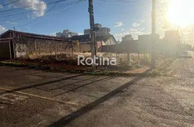 Terreno à venda, santa mônica - uberlândia/mg - rotina imobiliária