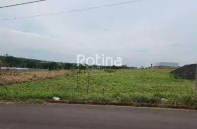 Área à venda, distrito industrial - uberlândia/mg - rotina imobiliária