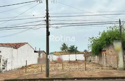 Terreno à venda, presidente roosevelt - uberlândia/mg - rotina imobiliária