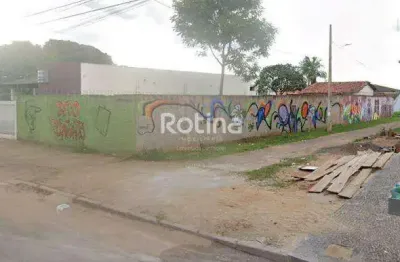 Terreno à venda, planalto - uberlândia/mg - rotina imobiliária