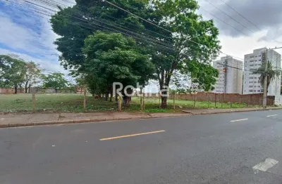 Área à venda, jardim holanda - uberlândia/mg - rotina imobiliária