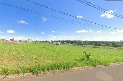 Terreno comercial à venda na Avenida João Costa Azevedo, --, Loteamento Portal do Vale II, Uberlândia