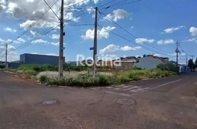 Terreno à venda, residencial integração - uberlândia/mg - rotina imobiliária