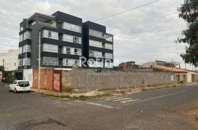 Terreno à venda, segismundo pereira - uberlândia/mg - rotina imobiliária