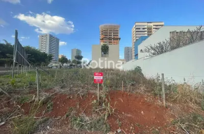 Terreno comercial à venda na Rua José Cunha Chaves, --, Jardim Colina, Uberlândia