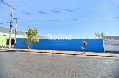 Terreno comercial à venda na Rua México, --, Martins, Uberlândia