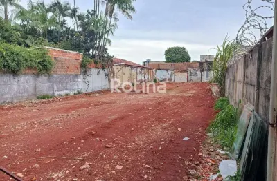 Terreno à venda, presidente roosevelt - uberlândia/mg - rotina imobiliária