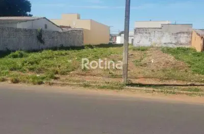 Terreno comercial à venda na Rua Agnelo Fagundes da Costa, --, Shopping Park, Uberlândia