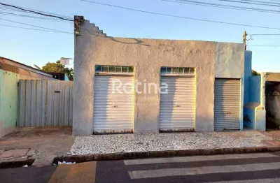 Colônia à venda, 9 quartos, minas gerais - uberlândia/mg - rotina imobiliária