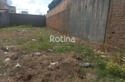 Terreno à venda, segismundo pereira - uberlândia/mg - rotina imobiliária