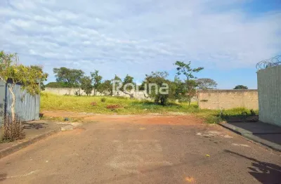 Área à venda, jardim europa - uberlândia/mg - rotina imobiliária