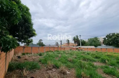 Área à venda, vigilato pereira - uberlândia/mg - rotina imobiliária