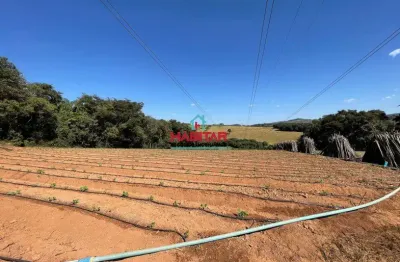 Terreno à venda na Rua Pereira Guimarães, Central, Mateus Leme