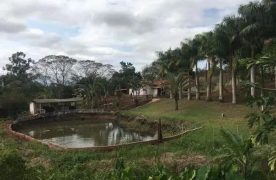 Sítio para venda em santa amélia, santa amélia, 3 dormitórios, 2 banheiros, 8 vagas