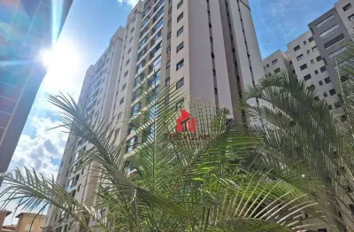 Apartamento com 2 dormitórios para alugar, 65 m²  - jardim tarraf ii - são josé do rio preto/sp