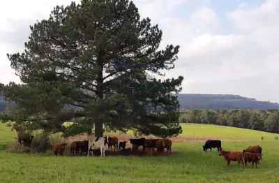 Fazenda à venda na rodovia do xisto, 476, passa dois, lapa, 411400 m2 por r$ 6.900.000