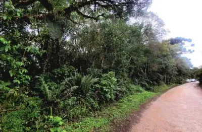 Terreno em condomínio fechado à venda na rua ney leprevost, 03, recreio da serra, piraquara, 6500 m2 por r$ 480.000