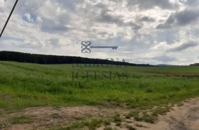 Terreno à venda na rodovia do xisto, 476, passa dois, lapa, 24200 m2 por r$ 700.000