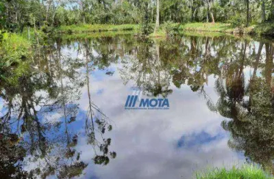 Chácara / sítio à venda no Rio das Pedras, Paranaguá 
